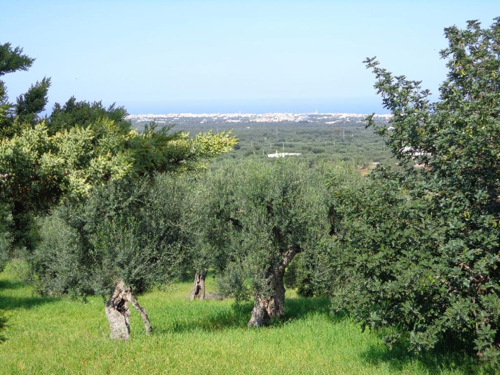 Alla Panoramica Monopoli Luaran gambar